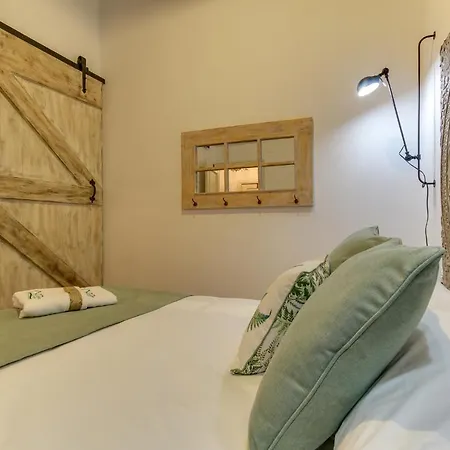 A Cashina Da Lagarteira