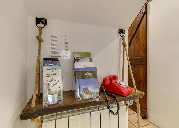 A Cashina Da Lagarteira